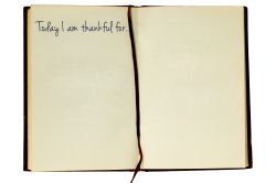 little books can be used for gratitude journals